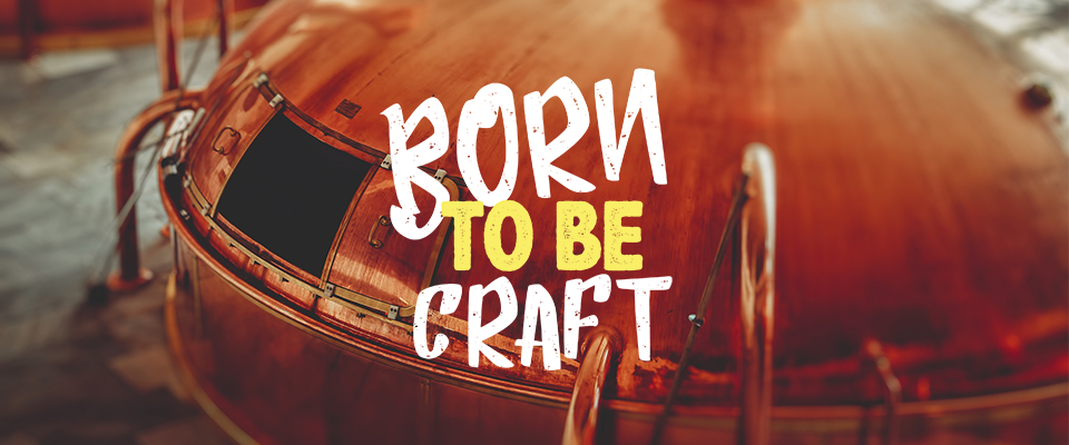 couverture article born to be craft