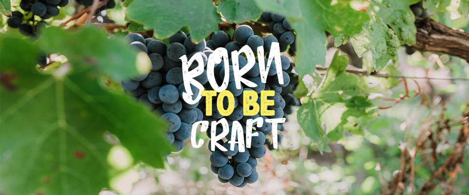 couverture article vin born to be craft