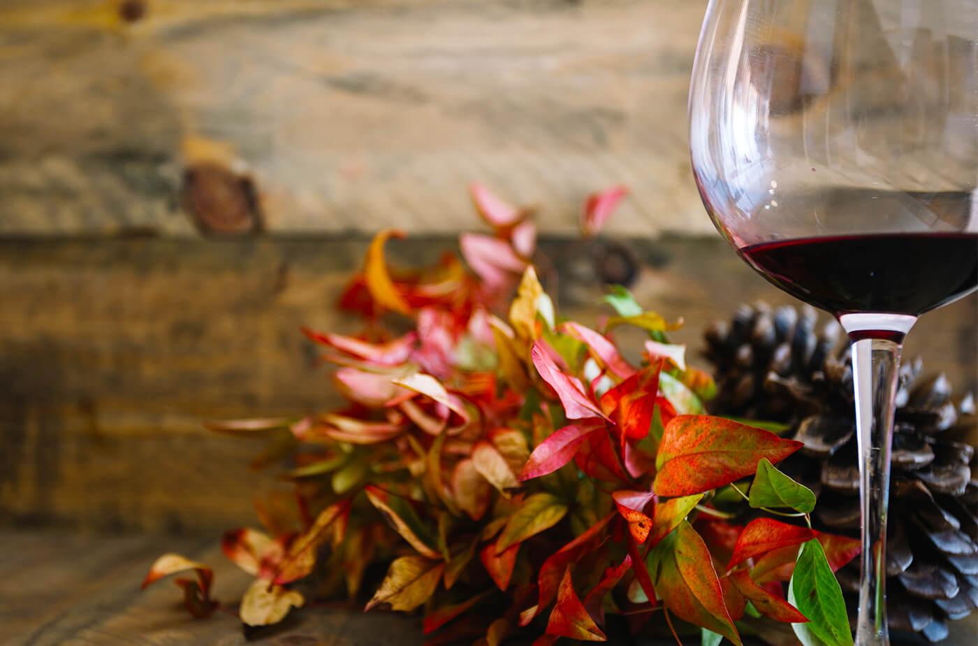 5 vins à déguster cet automne