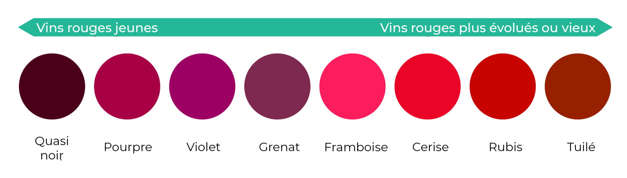 comment-organiser-sa-propre-soir-e-d-gustation-vin-la-maison-v