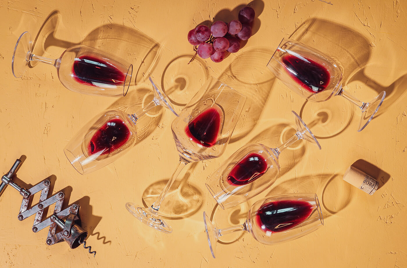 6 fun facts à connaître sur le vin